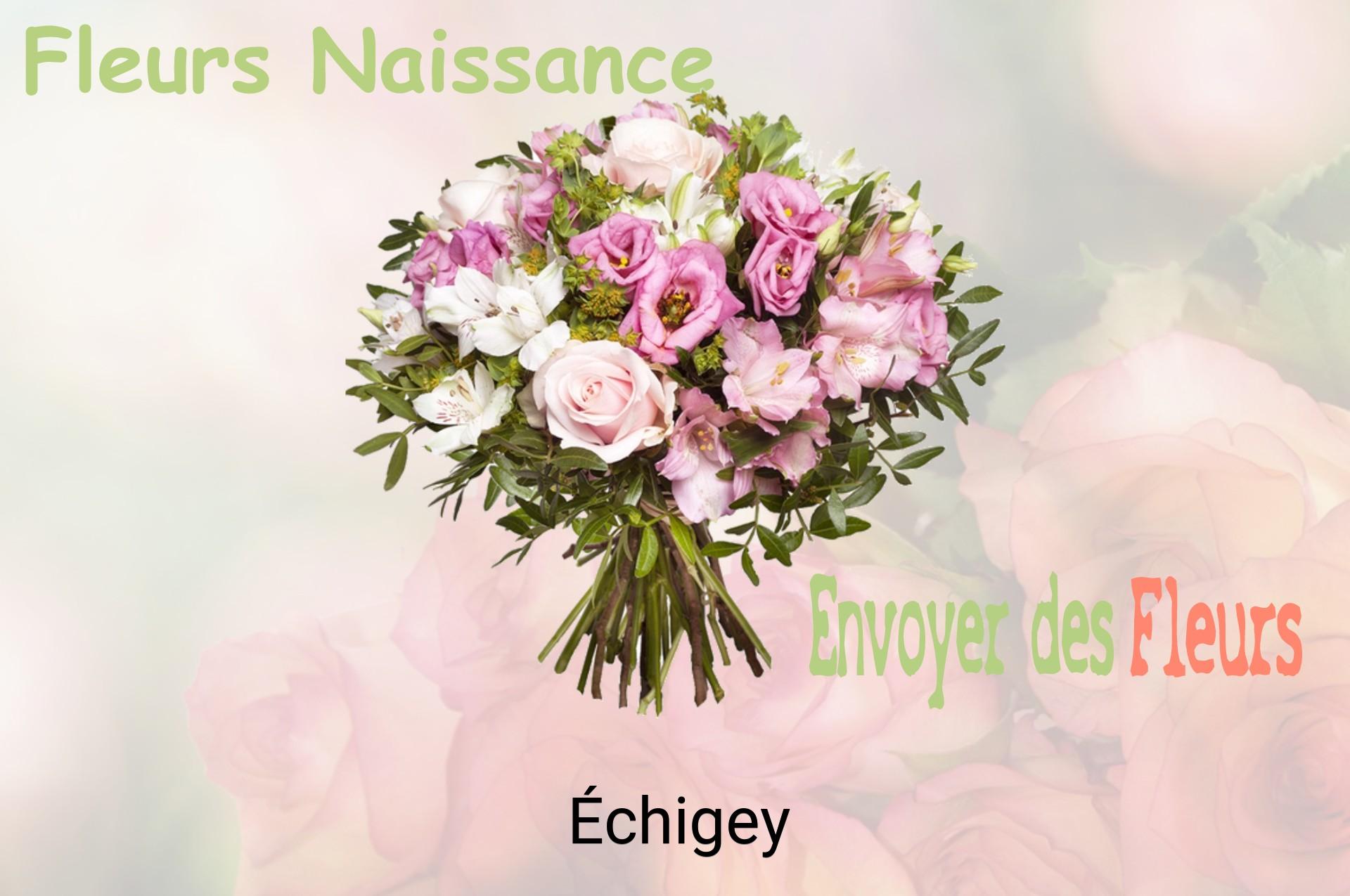 Bouquet de fleurs de naissance livré à Échigey